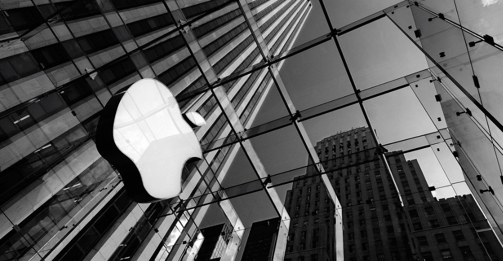 الهوية البصرية