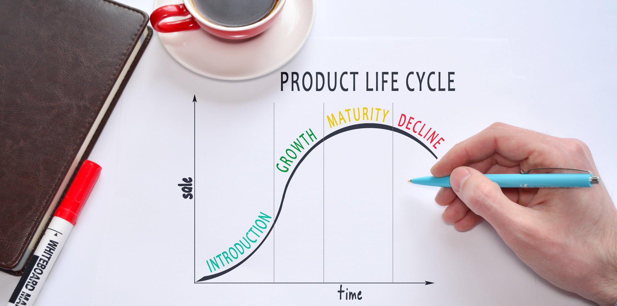 دورة حياة المنتج